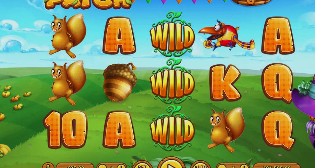 Pumpkin Patch · Tampilan Aplikasi HIJAU